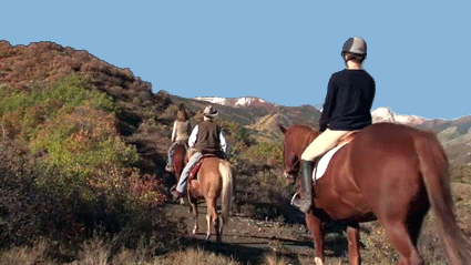 Droste Mountain Park horseback riding